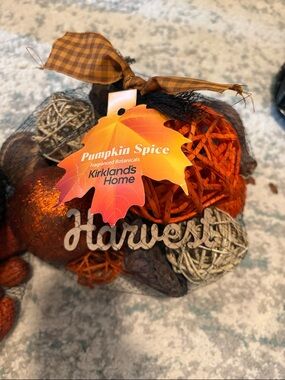 2 Pumpkin Spice Harvest Potpourri - Orange & Brown